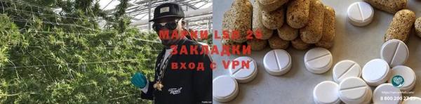 хмурый Белокуриха