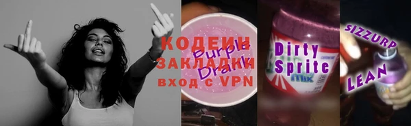 хмурый Белокуриха