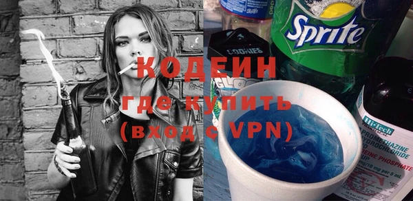 хмурый Белокуриха