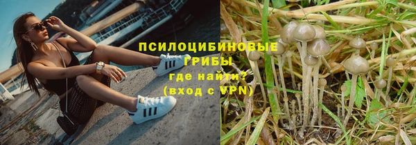 СК Беломорск