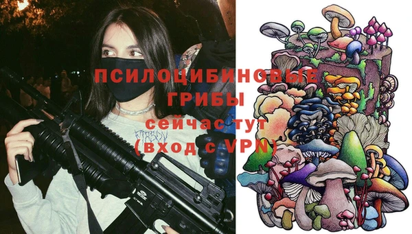 СК Беломорск
