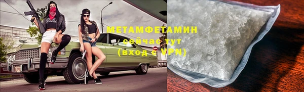 хмурый Белокуриха