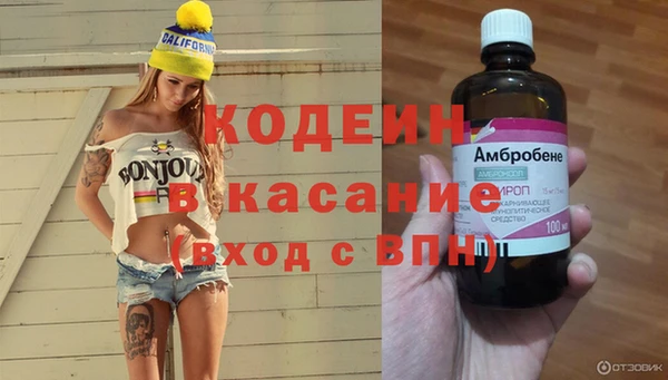 хмурый Белокуриха