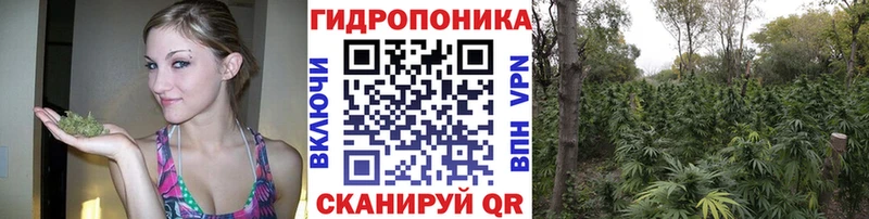 ссылка на мегу ссылки  Шацк  Бошки марихуана Ganja  как найти  